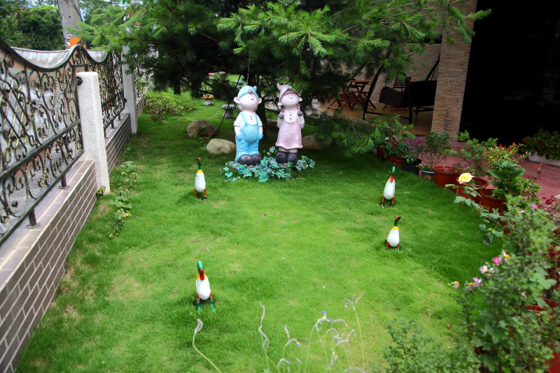 邀稿,桃園寵物友善,桃園餐廳,龍潭餐廳,龍潭西式餐廳,龍潭義大利
