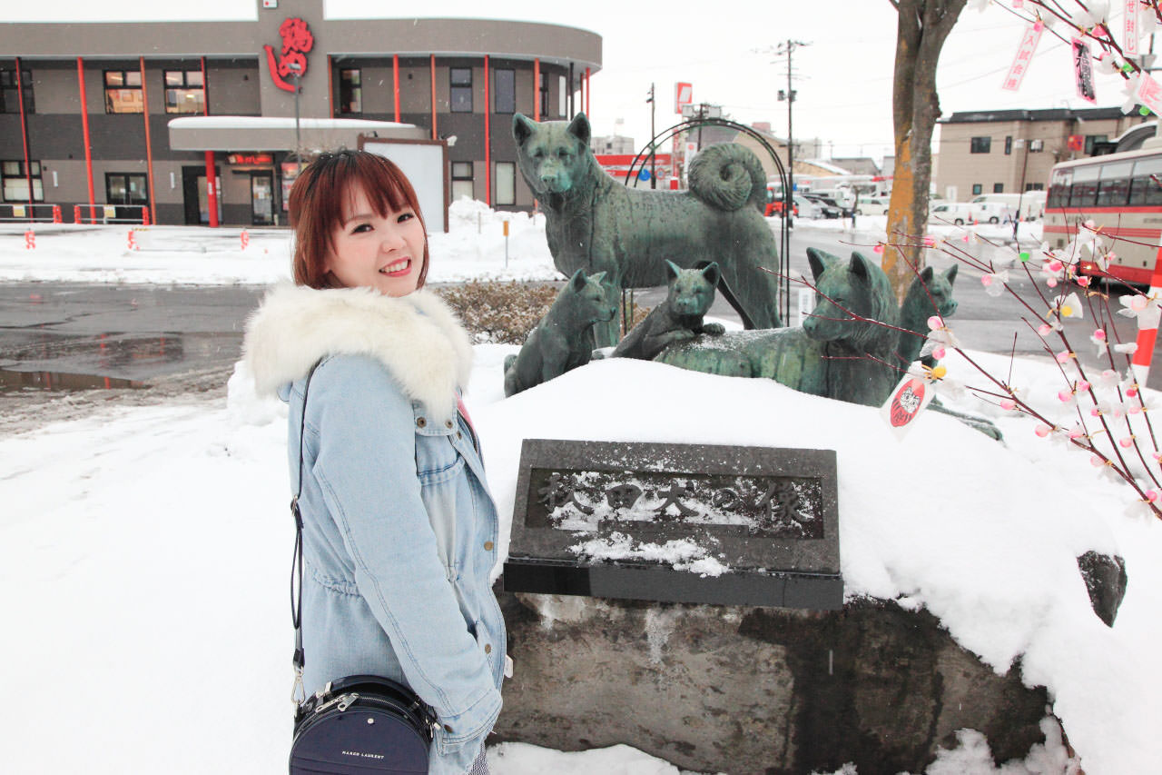秋田犬,樂吃購！日本,台灣近畿旅行社,戀戀秋田犬主題路線,秋田旅遊