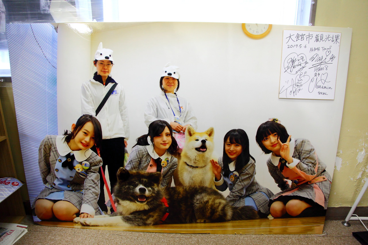 秋田犬,樂吃購！日本,台灣近畿旅行社,戀戀秋田犬主題路線,秋田旅遊