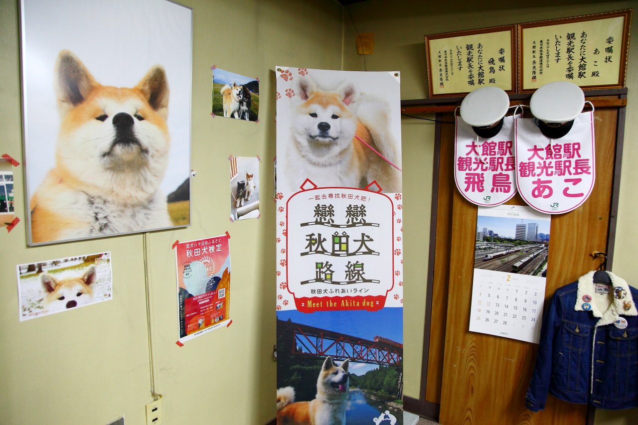 秋田犬,樂吃購！日本,台灣近畿旅行社,戀戀秋田犬主題路線,秋田旅遊
