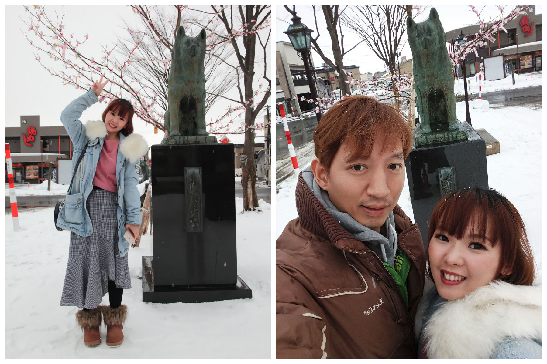 秋田犬,樂吃購！日本,台灣近畿旅行社,戀戀秋田犬主題路線,秋田旅遊