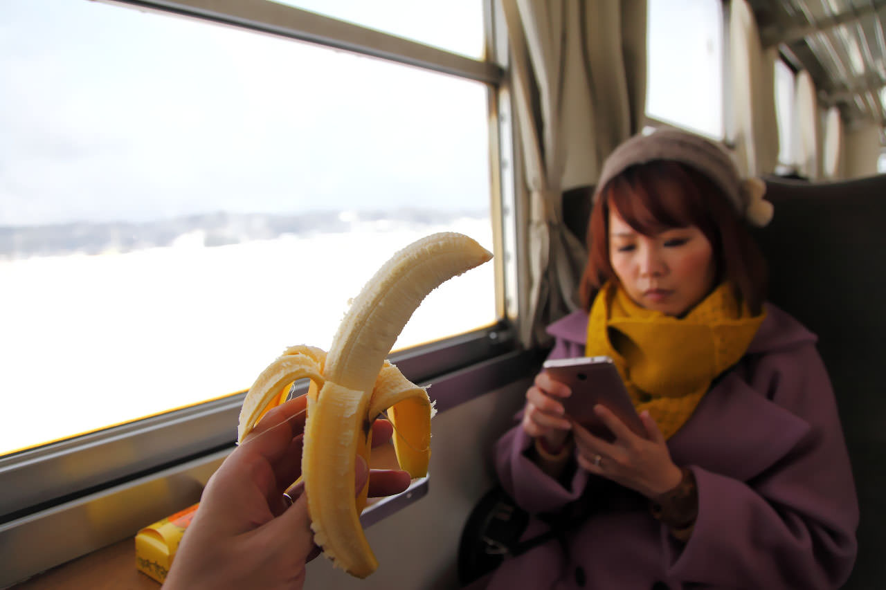 秋田旅遊,戀戀秋田犬主題路線,樂吃夠！日本,日本東北旅遊,秋田內陸縱貫鐵道