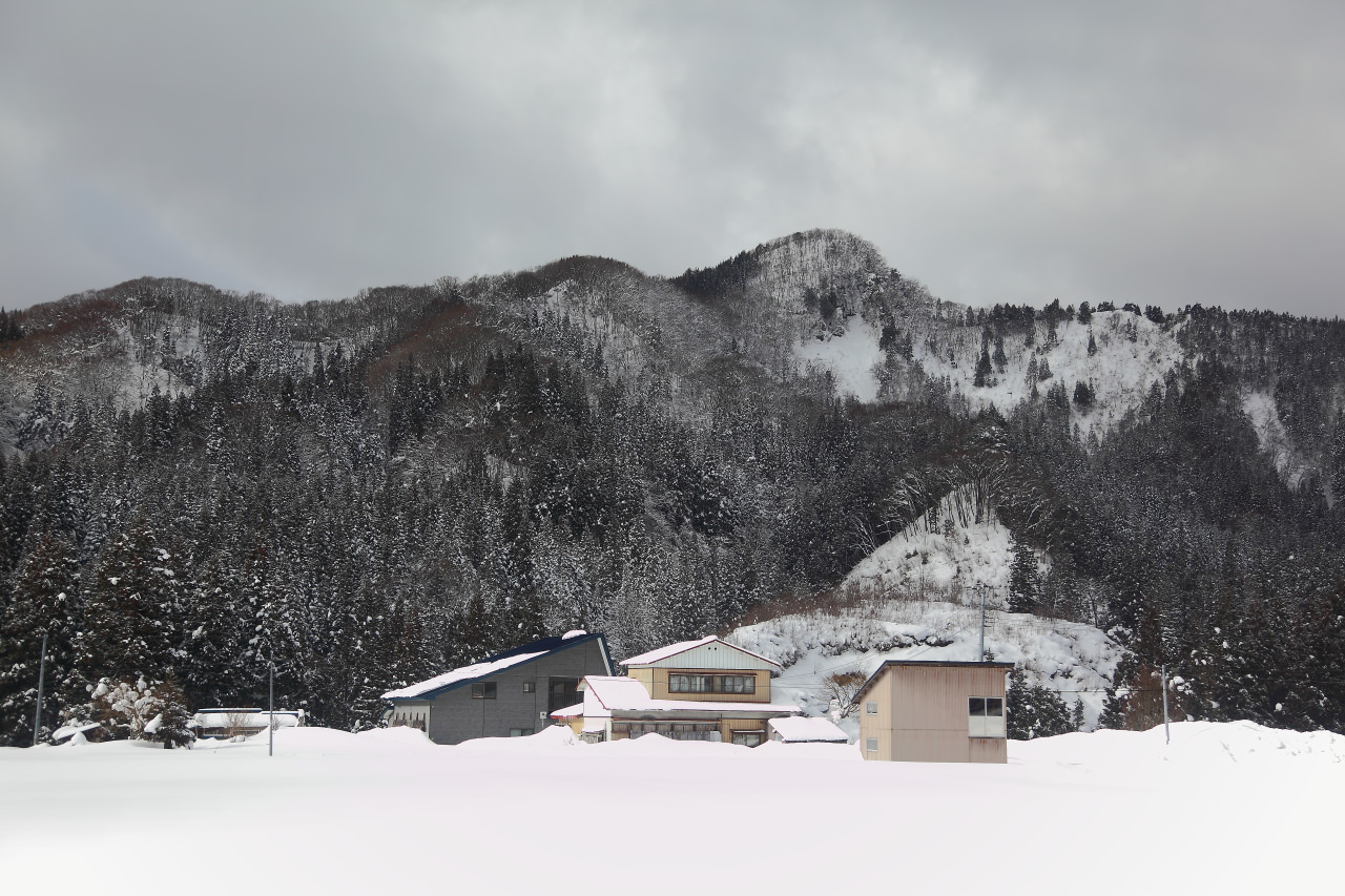 秋田旅遊,戀戀秋田犬主題路線,樂吃夠！日本,日本東北旅遊,秋田內陸縱貫鐵道