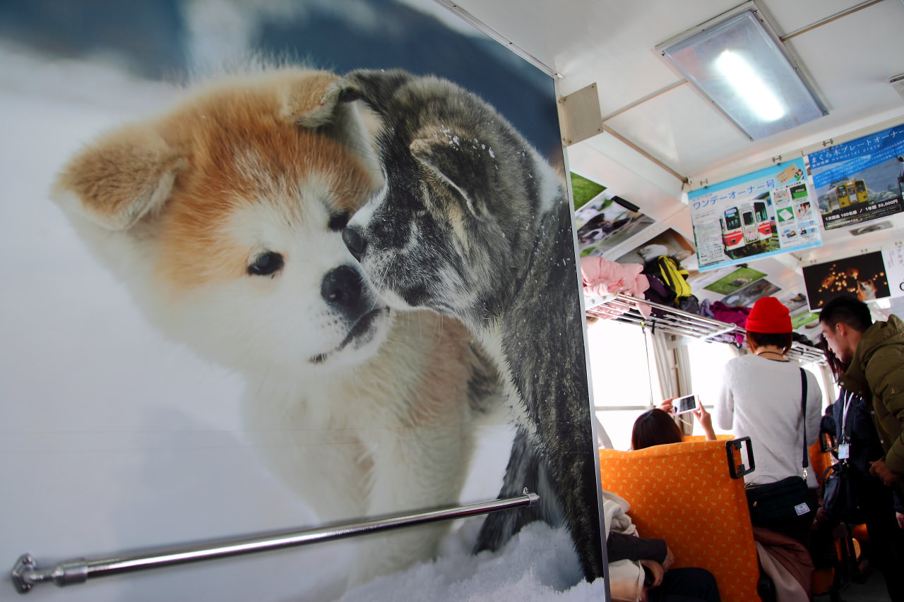 秋田旅遊,戀戀秋田犬主題路線,樂吃夠！日本,日本東北旅遊,秋田內陸縱貫鐵道