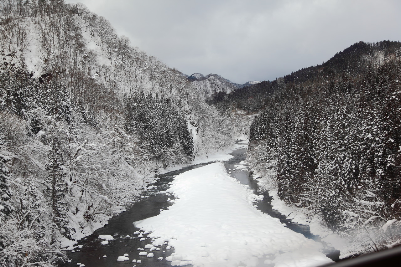 秋田旅遊,戀戀秋田犬主題路線,樂吃夠！日本,日本東北旅遊,秋田內陸縱貫鐵道