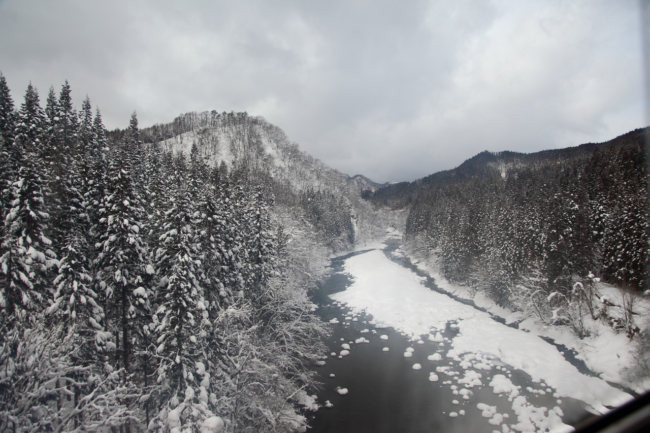 秋田旅遊,戀戀秋田犬主題路線,樂吃夠！日本,日本東北旅遊,秋田內陸縱貫鐵道