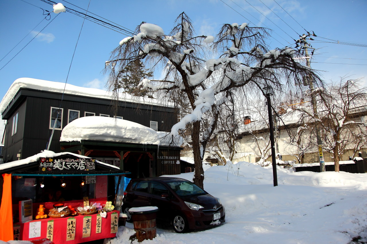 日本秋田,戀戀秋田犬主題路線！,角館武家宅邸,秋田旅遊,秋田景點,日本旅遊,角館,角館旅遊