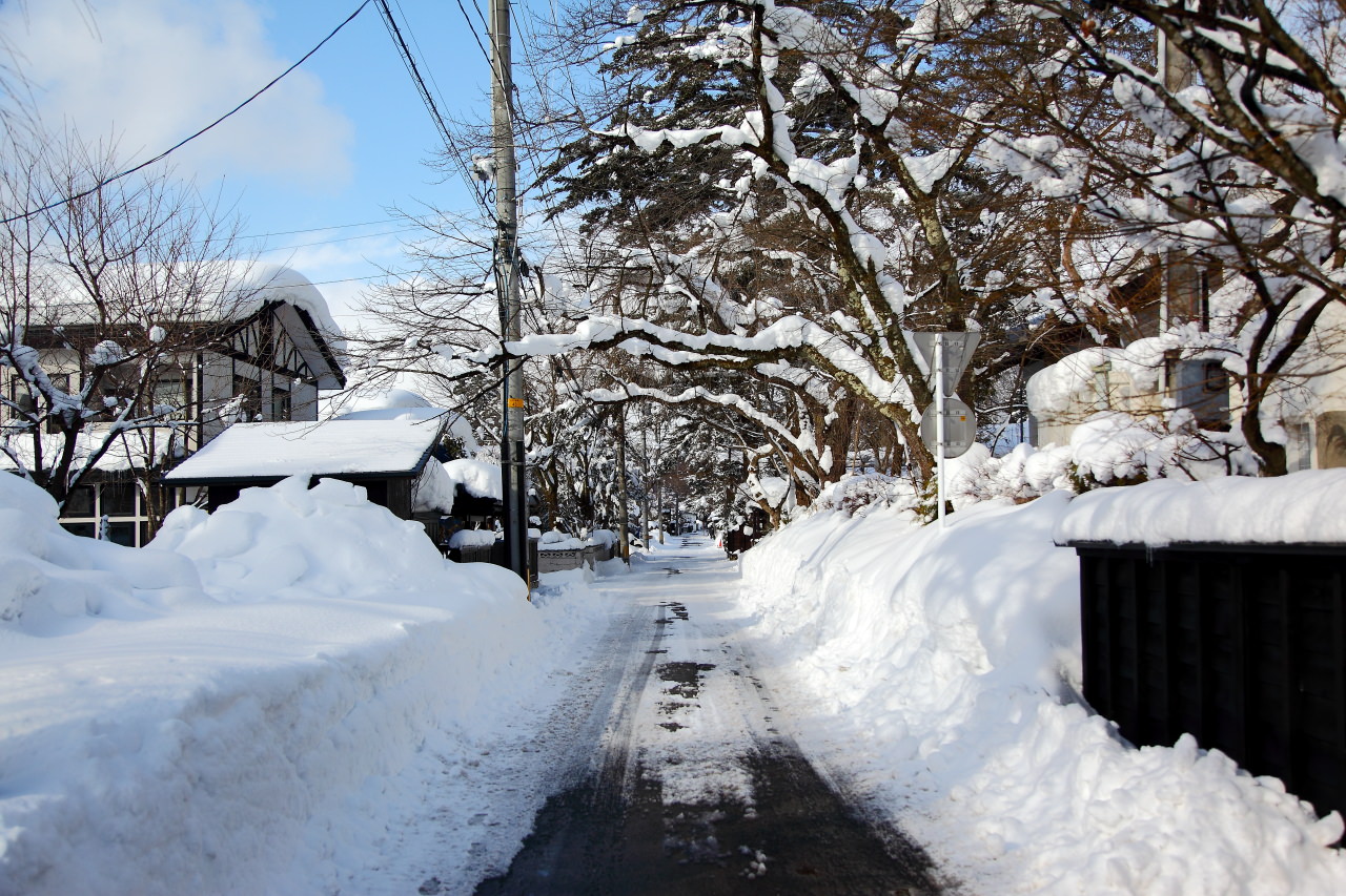 日本秋田,戀戀秋田犬主題路線！,角館武家宅邸,秋田旅遊,秋田景點,日本旅遊,角館,角館旅遊