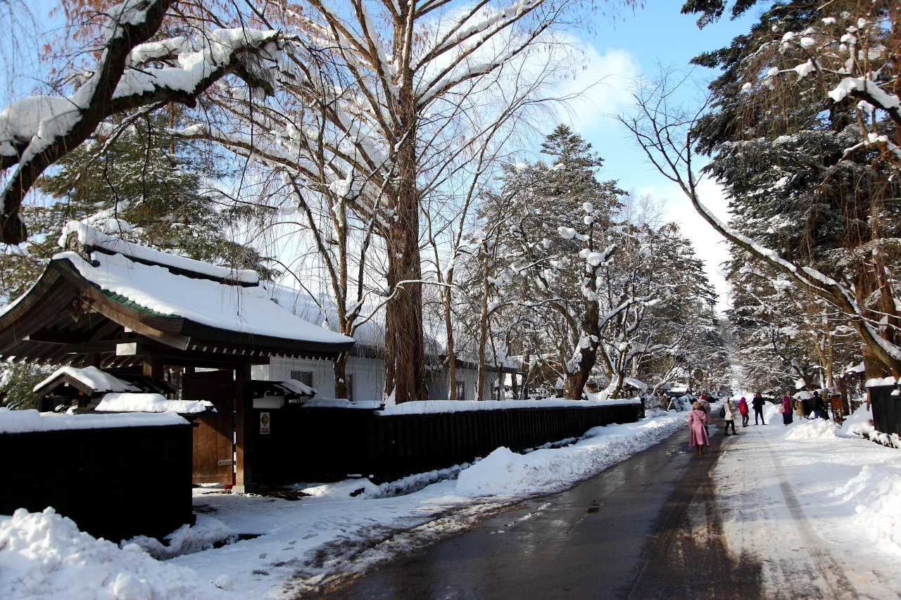 日本秋田,戀戀秋田犬主題路線！,角館武家宅邸,秋田旅遊,秋田景點,日本旅遊,角館,角館旅遊