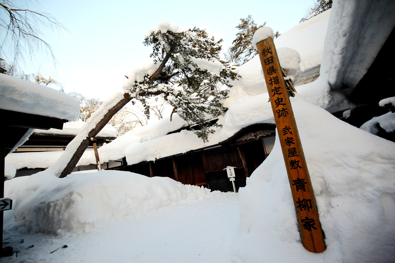 日本秋田,戀戀秋田犬主題路線！,角館武家宅邸,秋田旅遊,秋田景點,日本旅遊,角館,角館旅遊