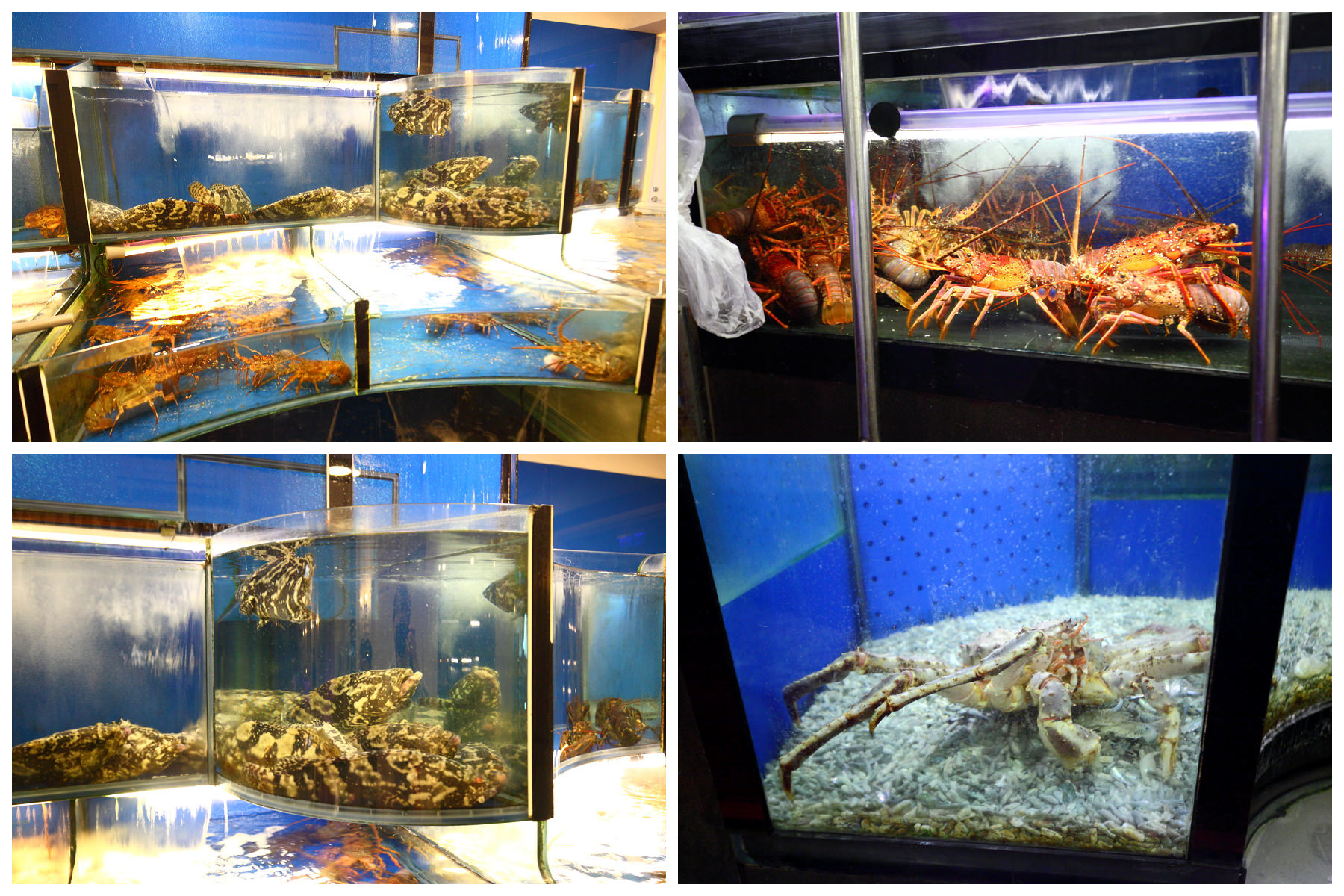 台北母親節餐廳,母親節餐廳推薦,頂鮮101美食美景餐廳,頂鮮101,頂鮮擔仔麵-台北101店,邀稿,台北餐廳,台北101,台北101餐廳