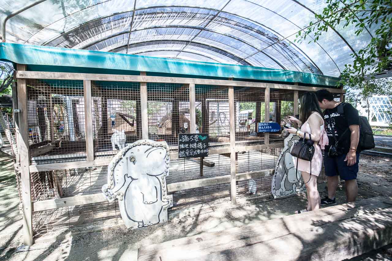 觀音必吃,觀音景點,ㄚ昌伯民宿,康莊蓮園民宿,青林農場,桃園民宿,林家古厝,桃園旅遊,桃園景點,觀音民宿,觀音美食,觀音蓮花季