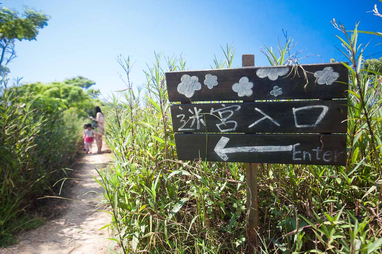 觀音必吃,觀音景點,ㄚ昌伯民宿,康莊蓮園民宿,青林農場,桃園民宿,林家古厝,桃園旅遊,桃園景點,觀音民宿,觀音美食,觀音蓮花季