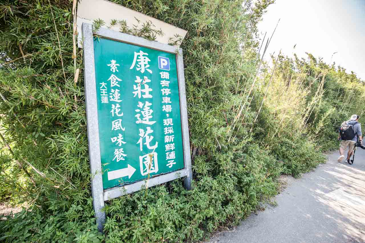 觀音必吃,觀音景點,ㄚ昌伯民宿,康莊蓮園民宿,青林農場,桃園民宿,林家古厝,桃園旅遊,桃園景點,觀音民宿,觀音美食,觀音蓮花季