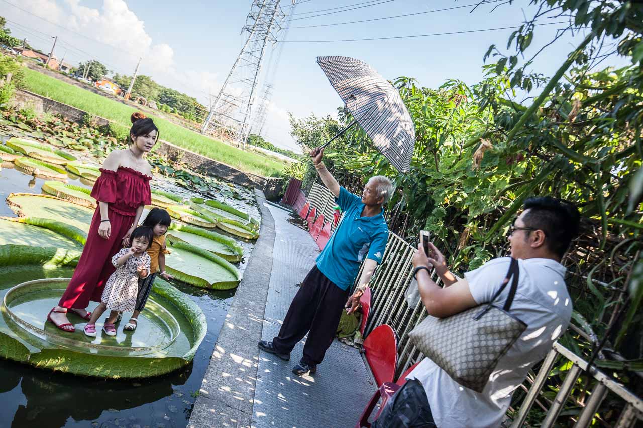 觀音必吃,觀音景點,ㄚ昌伯民宿,康莊蓮園民宿,青林農場,桃園民宿,林家古厝,桃園旅遊,桃園景點,觀音民宿,觀音美食,觀音蓮花季