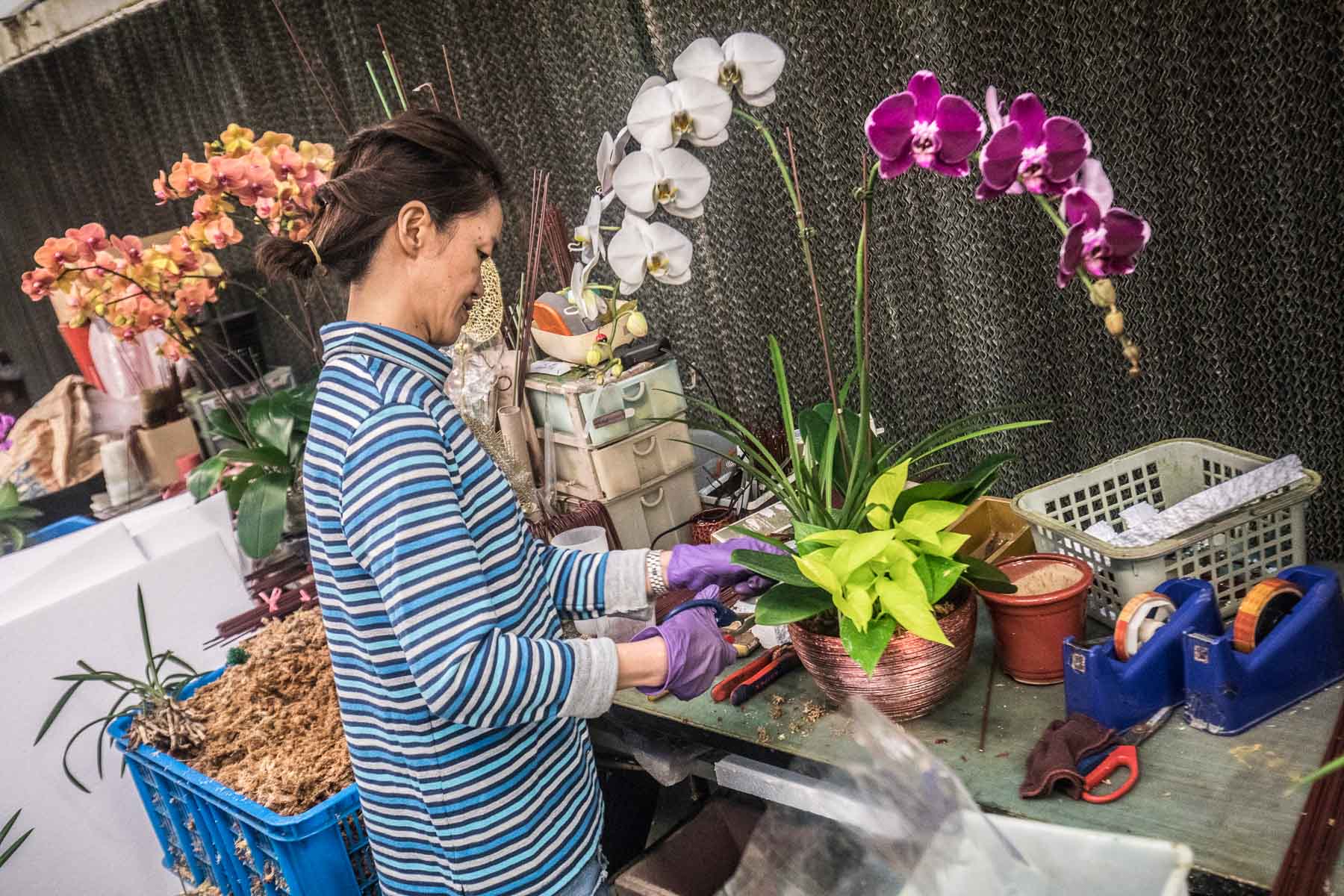 大溪必吃,大溪住宿,大溪民宿,台灣好行慈湖縣,台灣好行,桃園住宿,桃園民宿,桃園旅遊,大溪旅遊,大溪景點