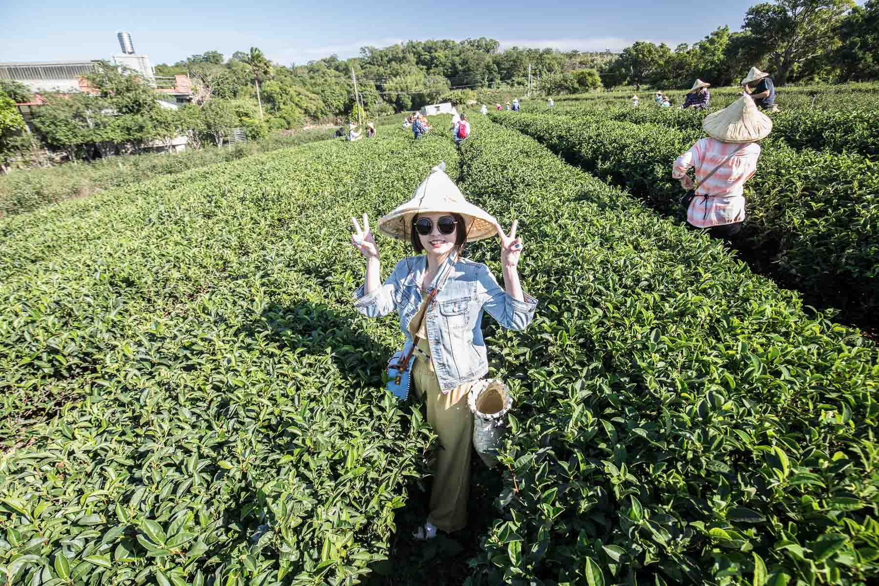 苗栗景點,頭份景點,頭份旅遊,苗栗旅遊,苗栗一日遊,頭份一日遊