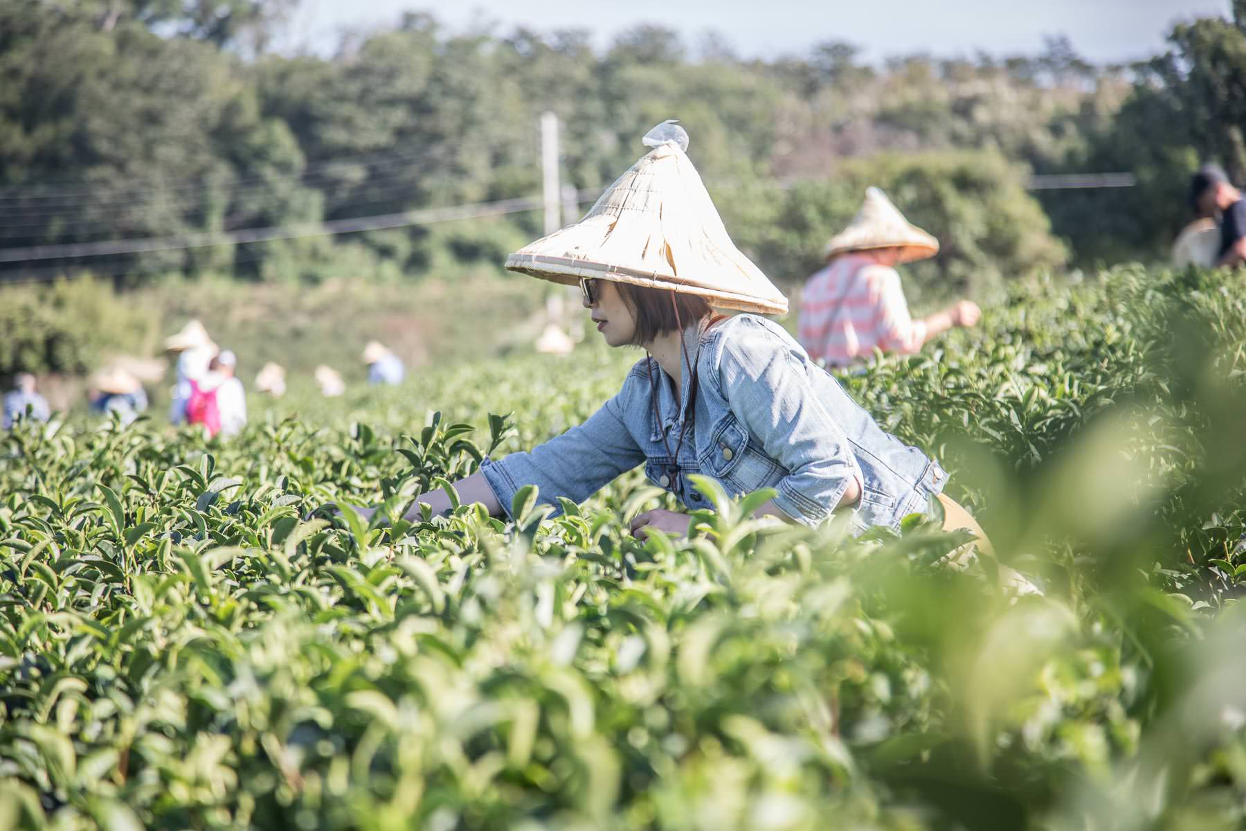 苗栗景點,頭份景點,頭份旅遊,苗栗旅遊,苗栗一日遊,頭份一日遊