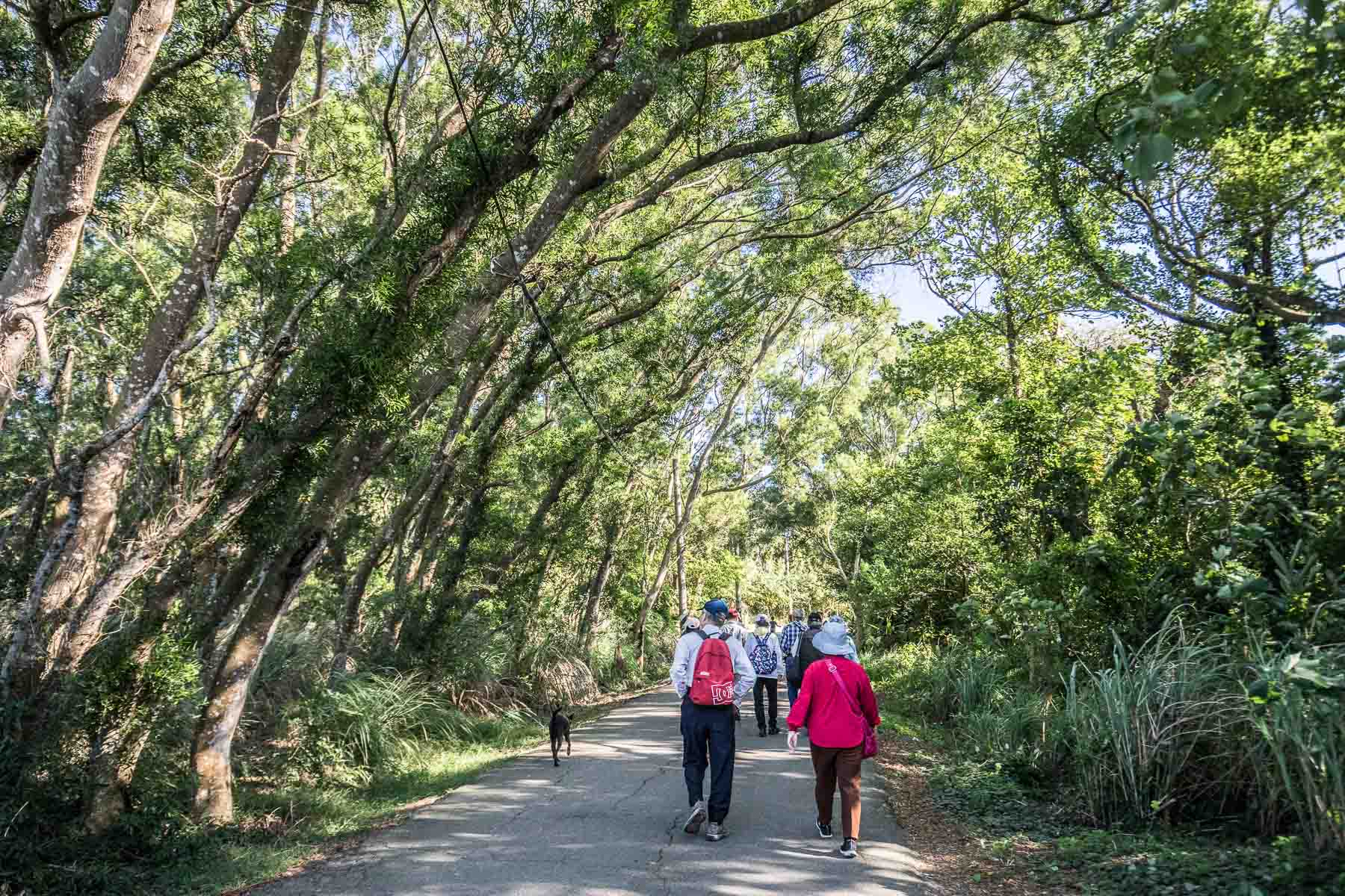 苗栗景點,頭份景點,頭份旅遊,苗栗旅遊,苗栗一日遊,頭份一日遊