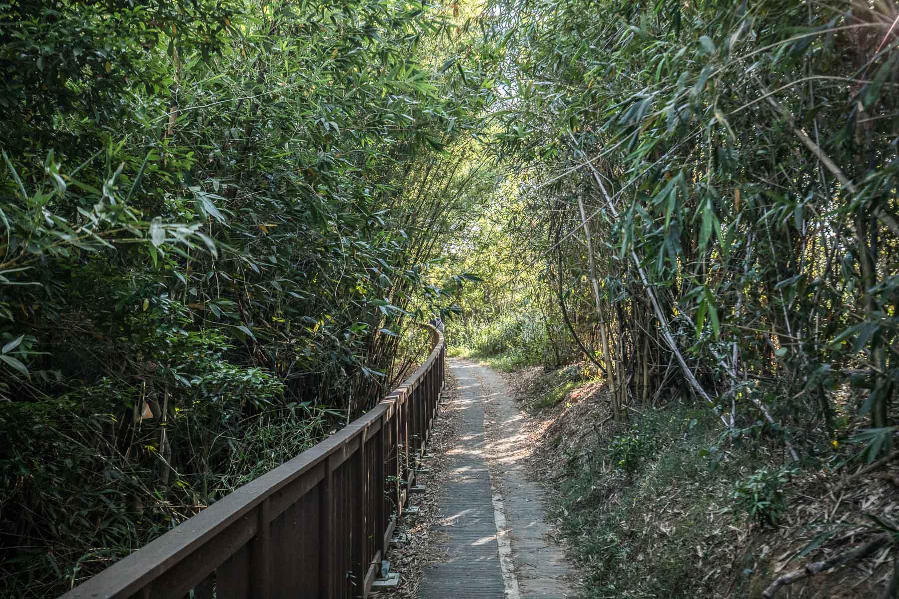 苗栗景點,頭份景點,頭份旅遊,苗栗旅遊,苗栗一日遊,頭份一日遊