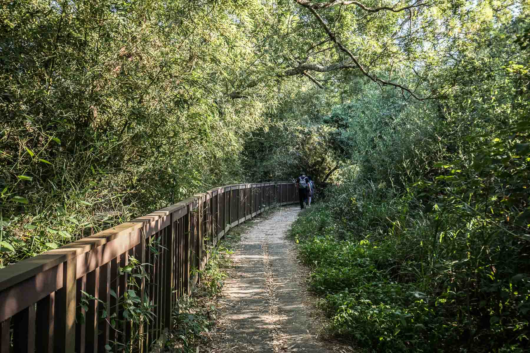 苗栗景點,頭份景點,頭份旅遊,苗栗旅遊,苗栗一日遊,頭份一日遊