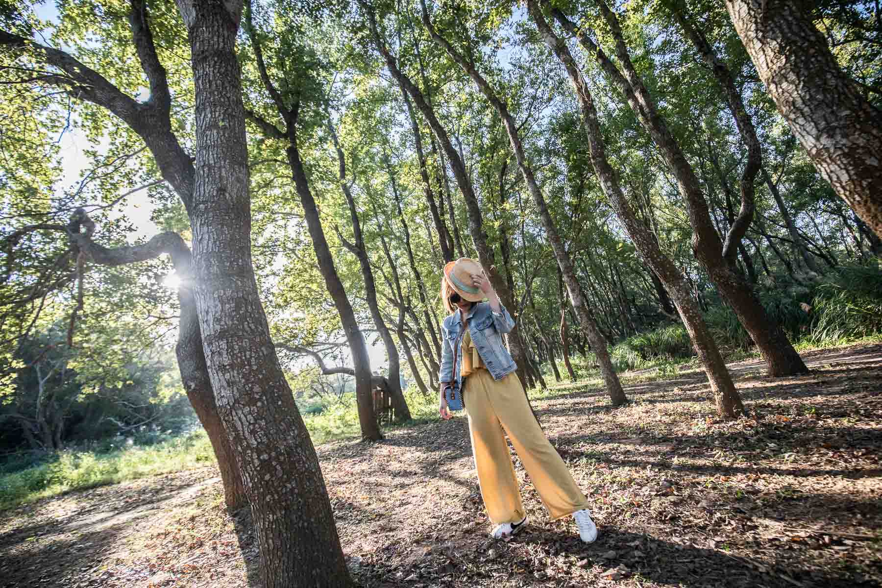 苗栗景點,頭份景點,頭份旅遊,苗栗旅遊,苗栗一日遊,頭份一日遊