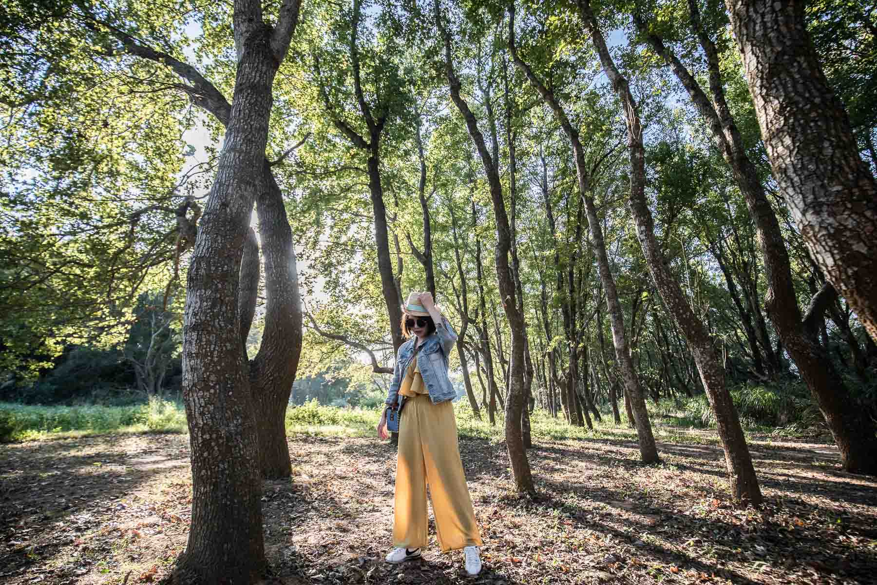 苗栗景點,頭份景點,頭份旅遊,苗栗旅遊,苗栗一日遊,頭份一日遊