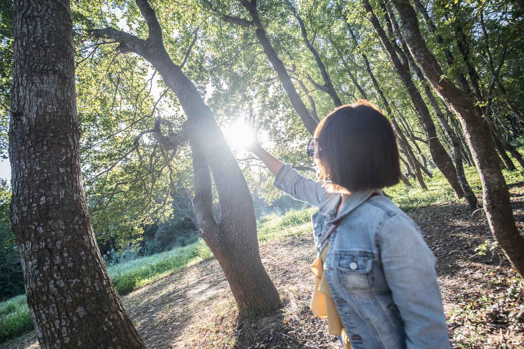 苗栗景點,頭份景點,頭份旅遊,苗栗旅遊,苗栗一日遊,頭份一日遊