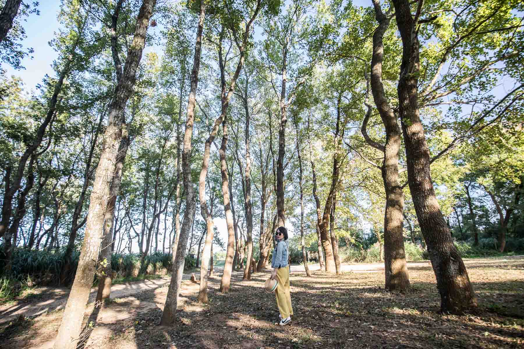 苗栗景點,頭份景點,頭份旅遊,苗栗旅遊,苗栗一日遊,頭份一日遊