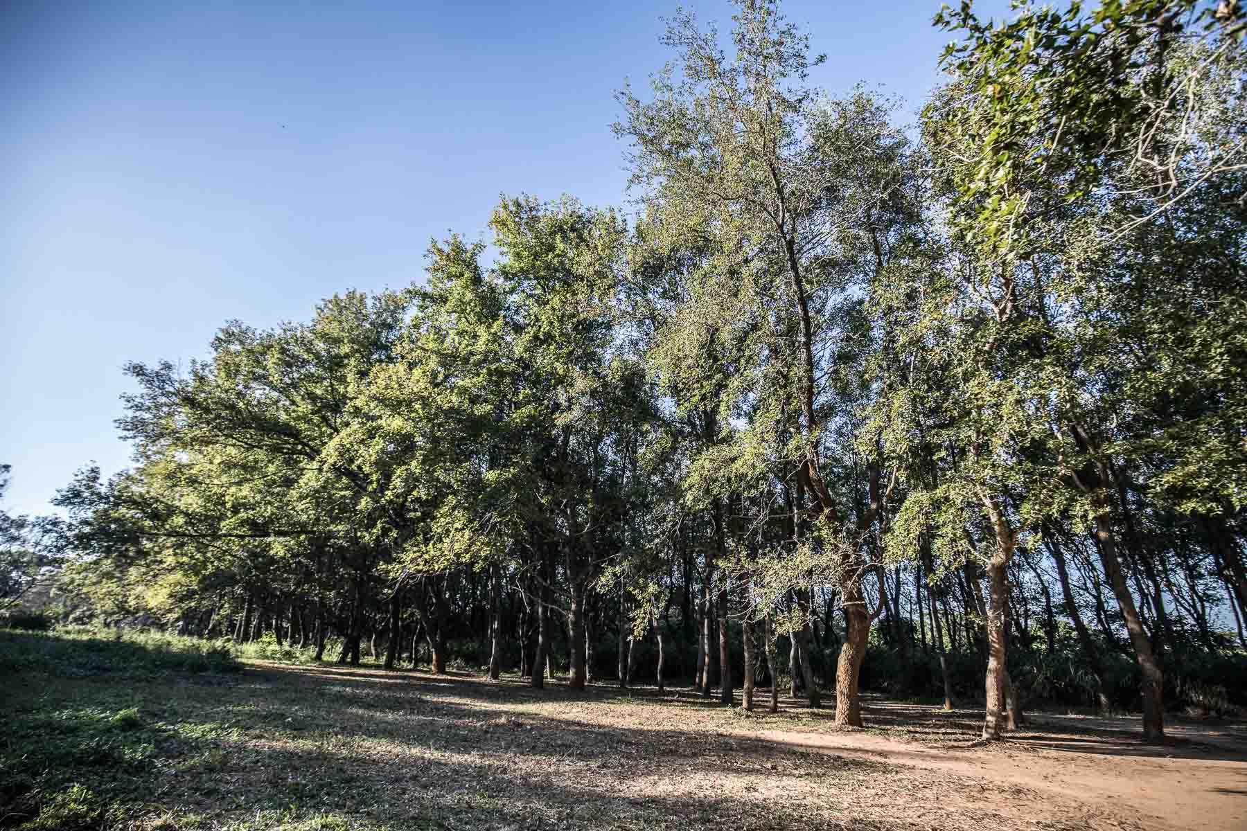 苗栗景點,頭份景點,頭份旅遊,苗栗旅遊,苗栗一日遊,頭份一日遊