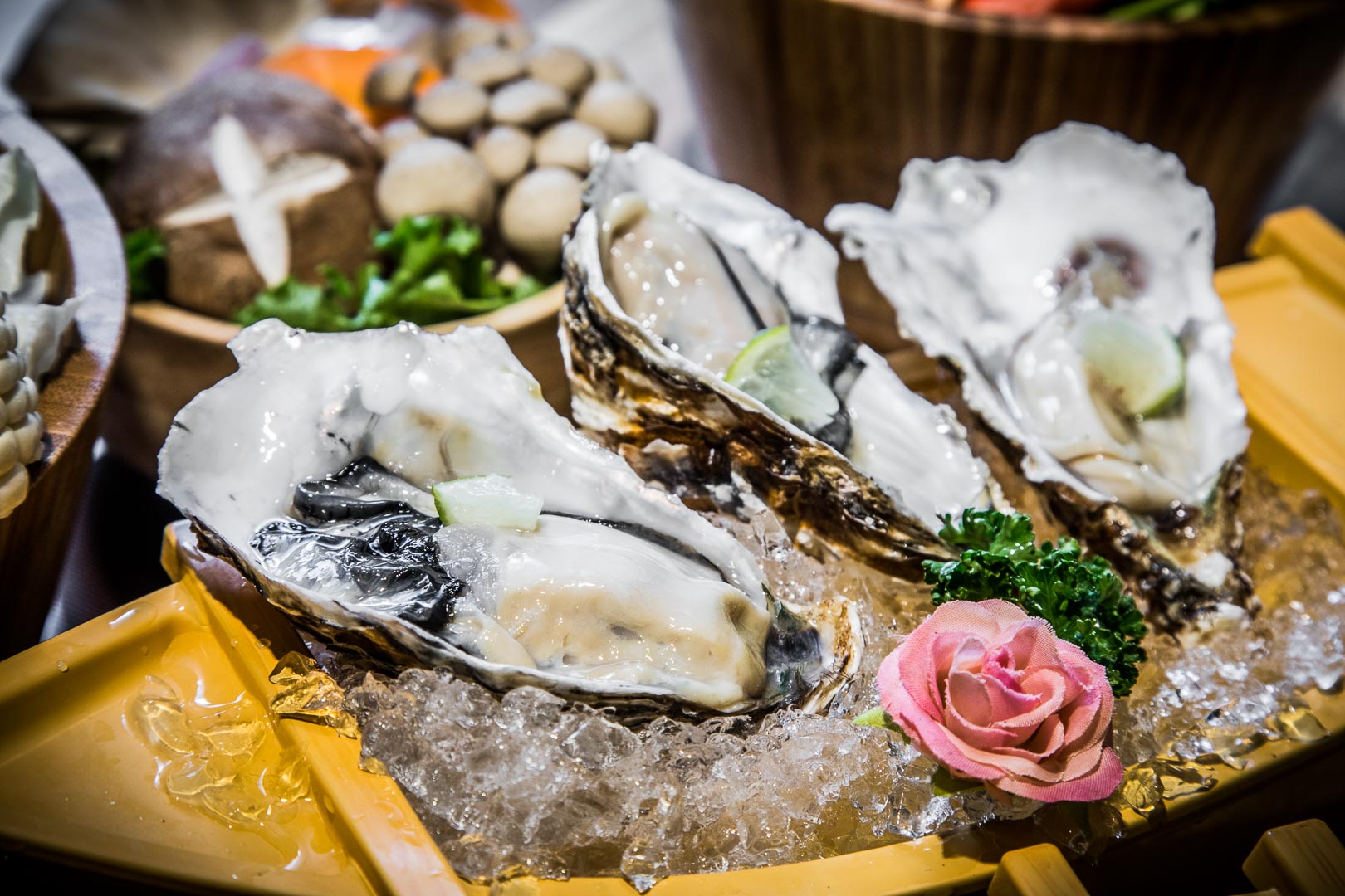 台北美食,台北火鍋,林口美食,長庚醫院美食,林口昕境廣場美食,林口火鍋,林口鍋物,林口聚餐,昕境廣場餐廳,藏王極上鍋物-林口店