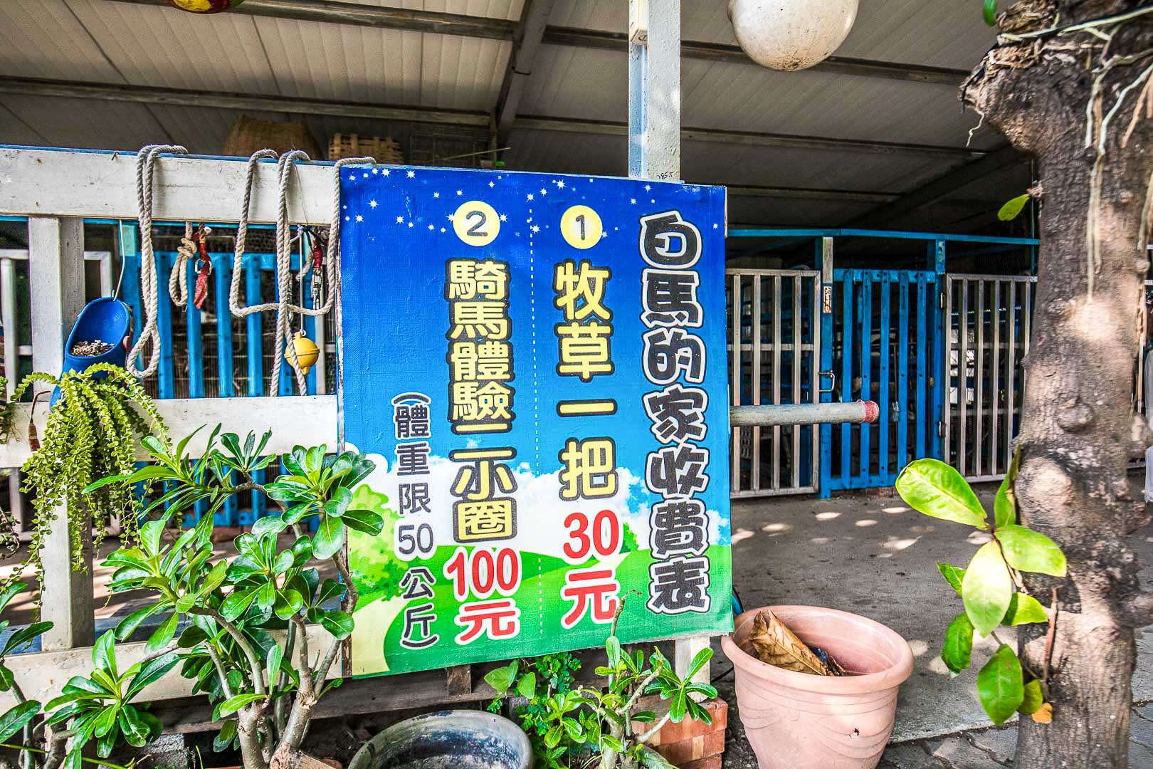 彰化景點,彰化親子景點,彰化農場,彰化小馬,彰化白馬農場,白馬的家,彰化IG景點,彰化網美景點