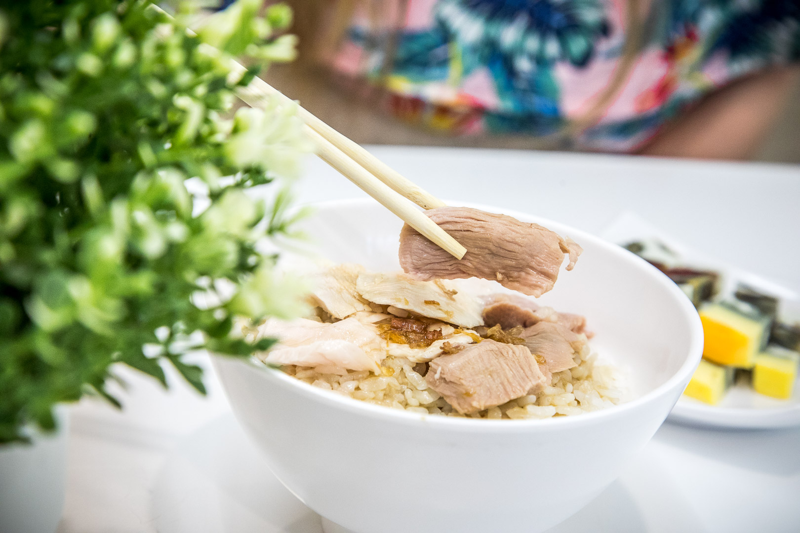 嘉義雞肉飯,嘉義火雞肉飯,嘉義火雞肉片飯,嘉義火雞肉飯推薦,嘉義涼菜,嘉義莊家火雞肉飯,莊家火雞肉飯,嘉義美食
