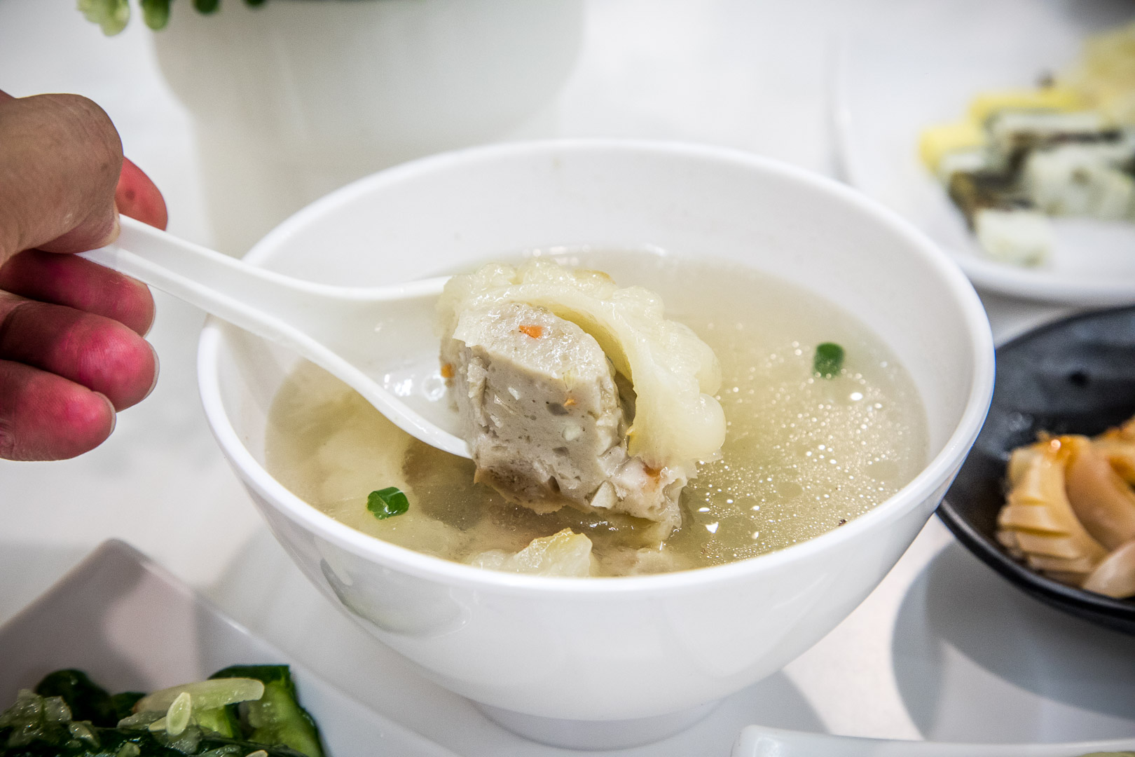 嘉義雞肉飯,嘉義火雞肉飯,嘉義火雞肉片飯,嘉義火雞肉飯推薦,嘉義涼菜,嘉義莊家火雞肉飯,莊家火雞肉飯,嘉義美食