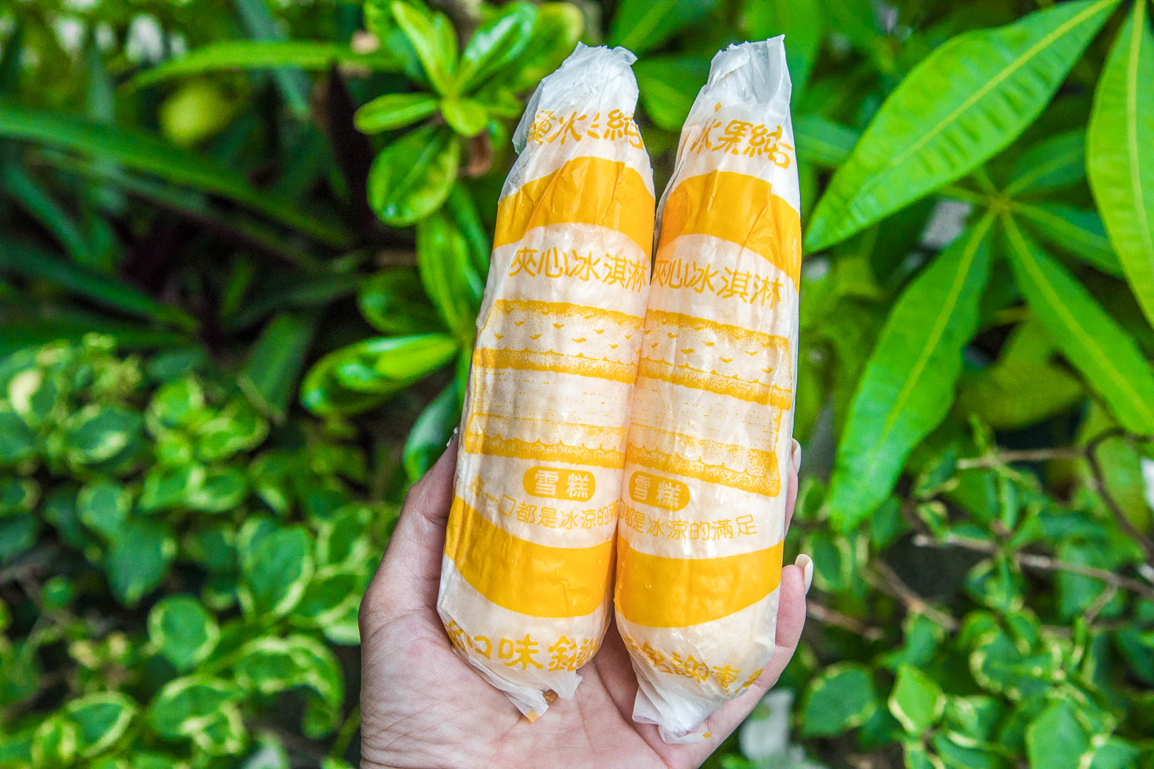 台南美食,立大冰城