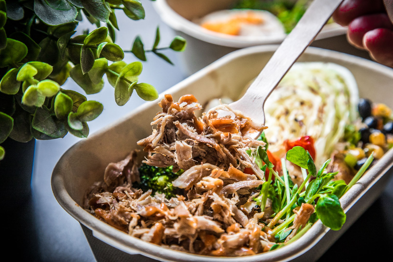 OMNIVORE雜食者,Omnivore takeout南京三民店,Omnivore takeout,台北健康餐盒,台北餐盒,民生社區餐盒,南京三民外帶外送,台北美食,台北便當,OMNIVORE雜食者 （原小初芽）