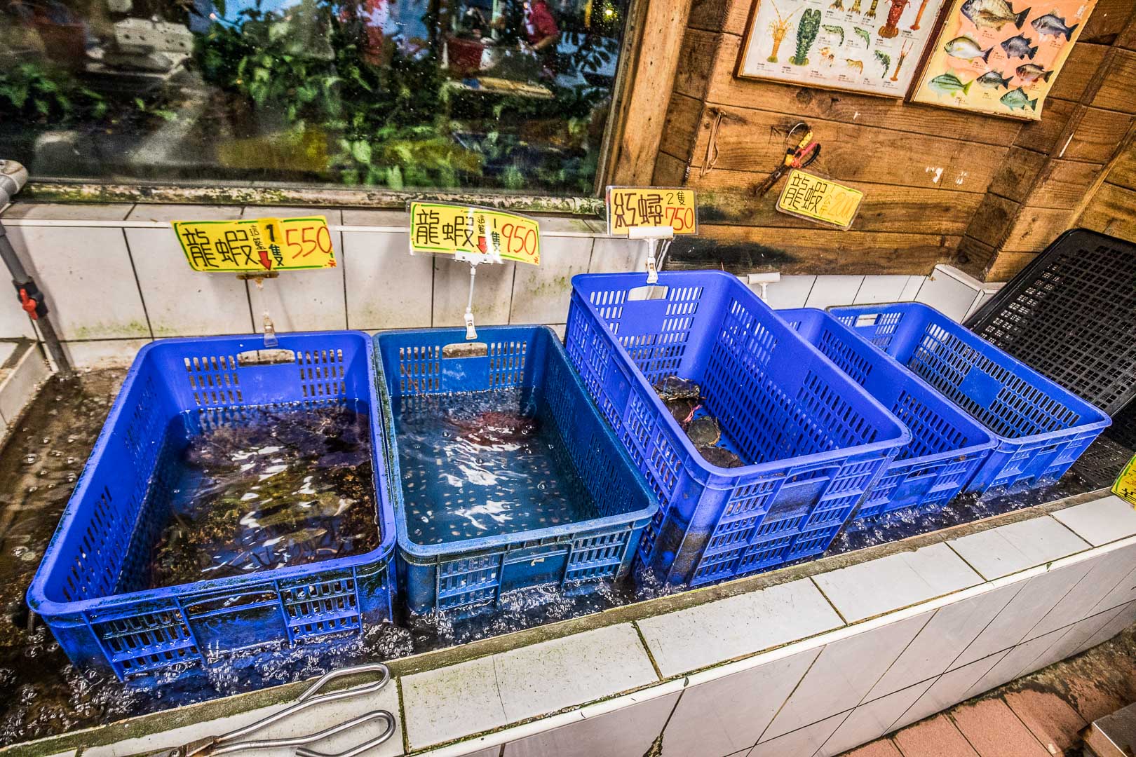花蓮美食,055龍蝦海鮮餐廳