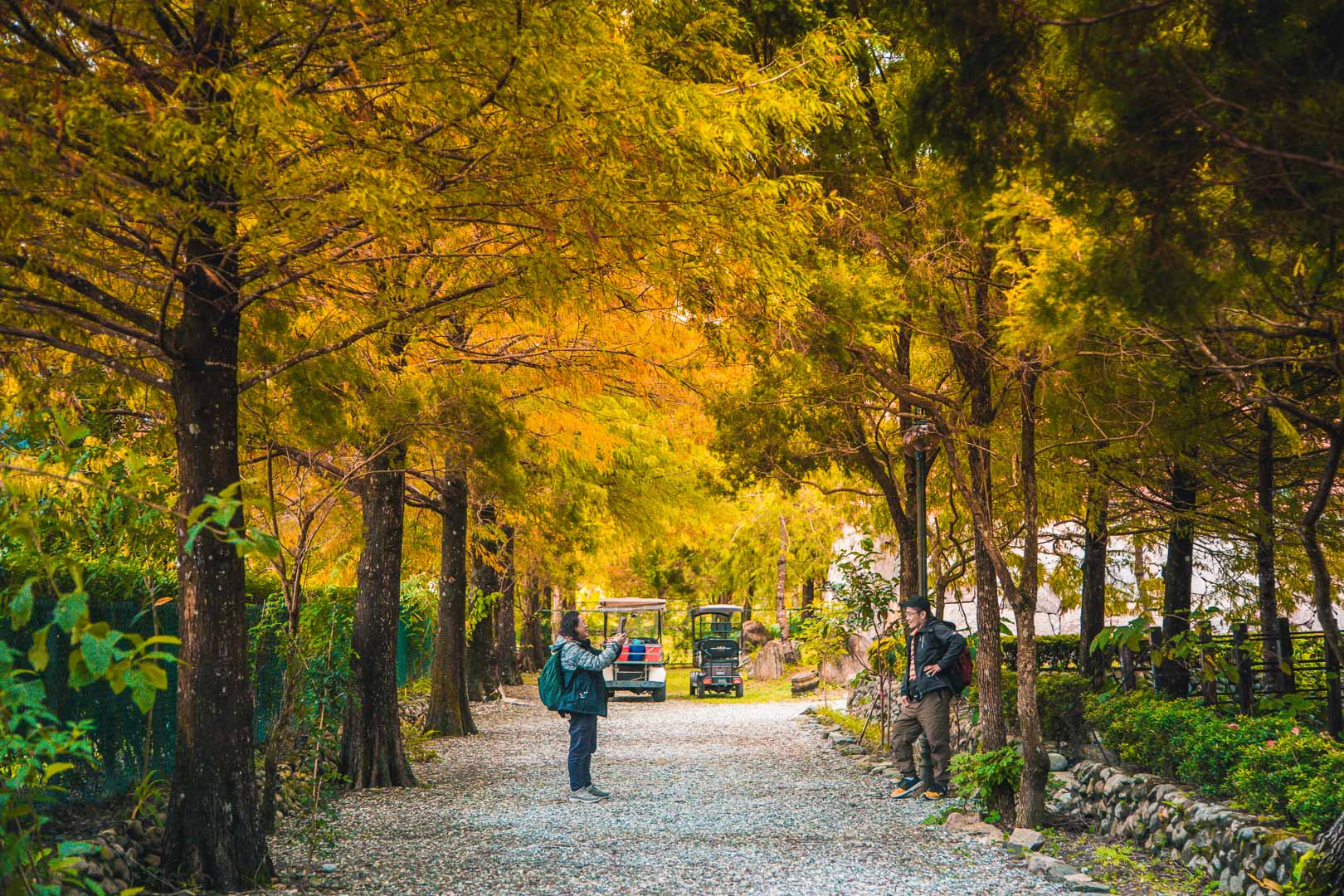 花蓮美食,花蓮景點,花蓮落羽松,花蓮秘境,花蓮IG打卡,花蓮咖啡,鷺鷥咖啡