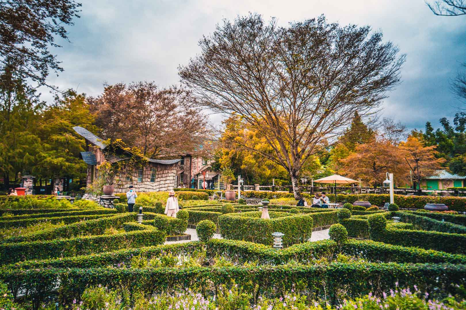 花蓮美食,花蓮景點,花蓮落羽松,花蓮秘境,花蓮IG打卡,花蓮咖啡,鷺鷥咖啡