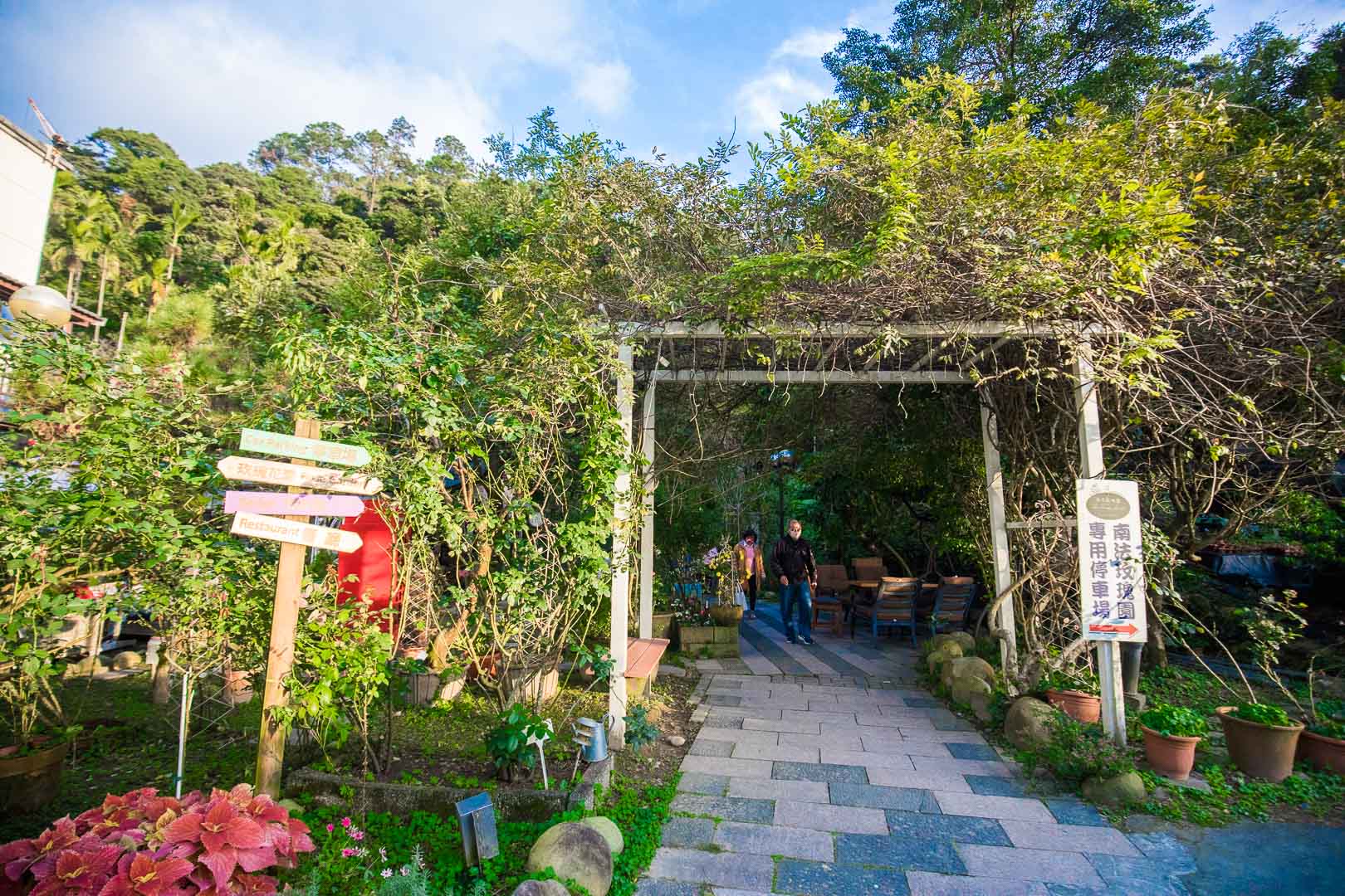 Emmie的南法玫瑰園,大溪南法玫瑰園,南法玫瑰園,桃園景點,大溪景點,大溪美食,大溪網美景點,大溪網美咖啡廳,桃園咖啡廳