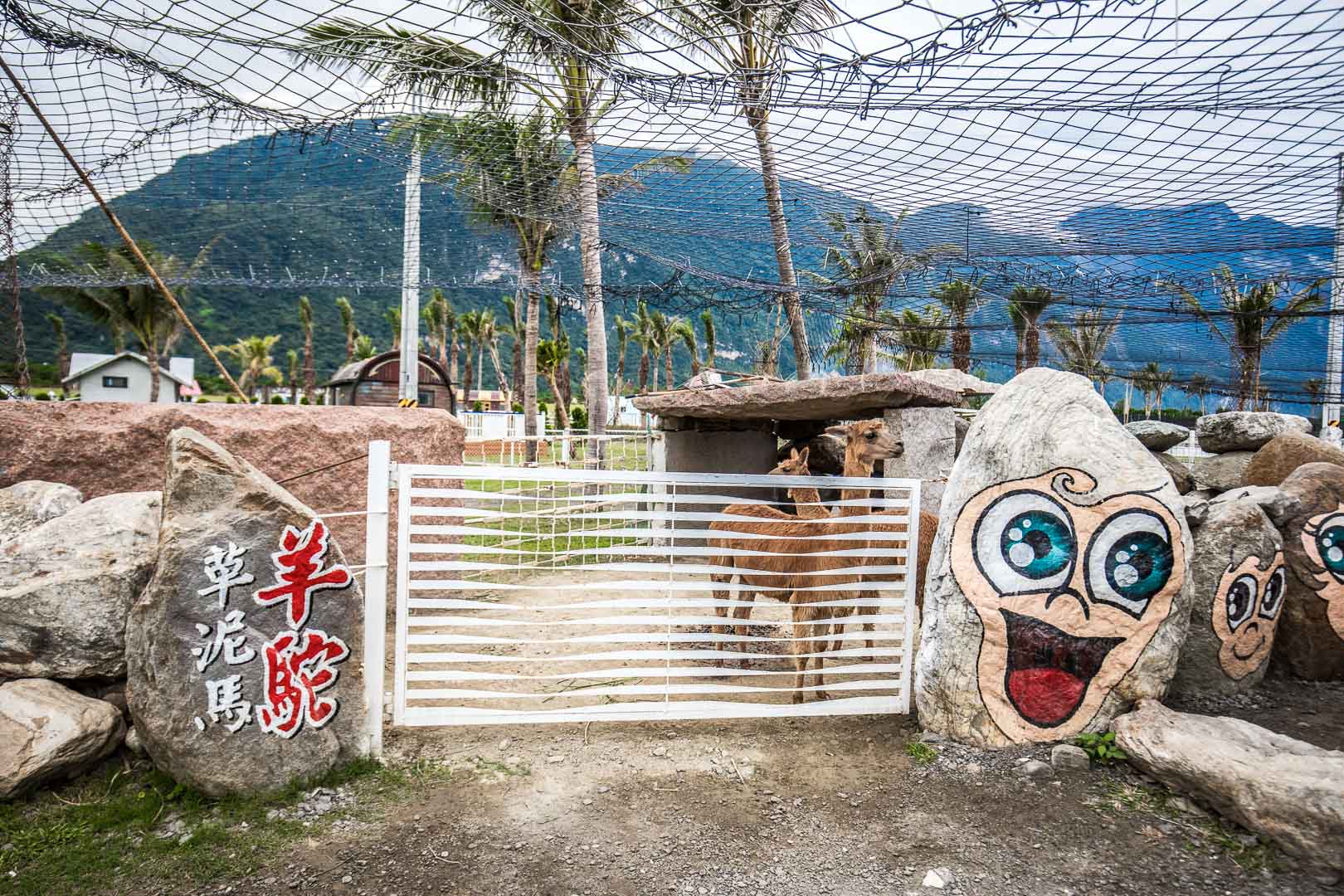  @大手牽小手。玩樂趣