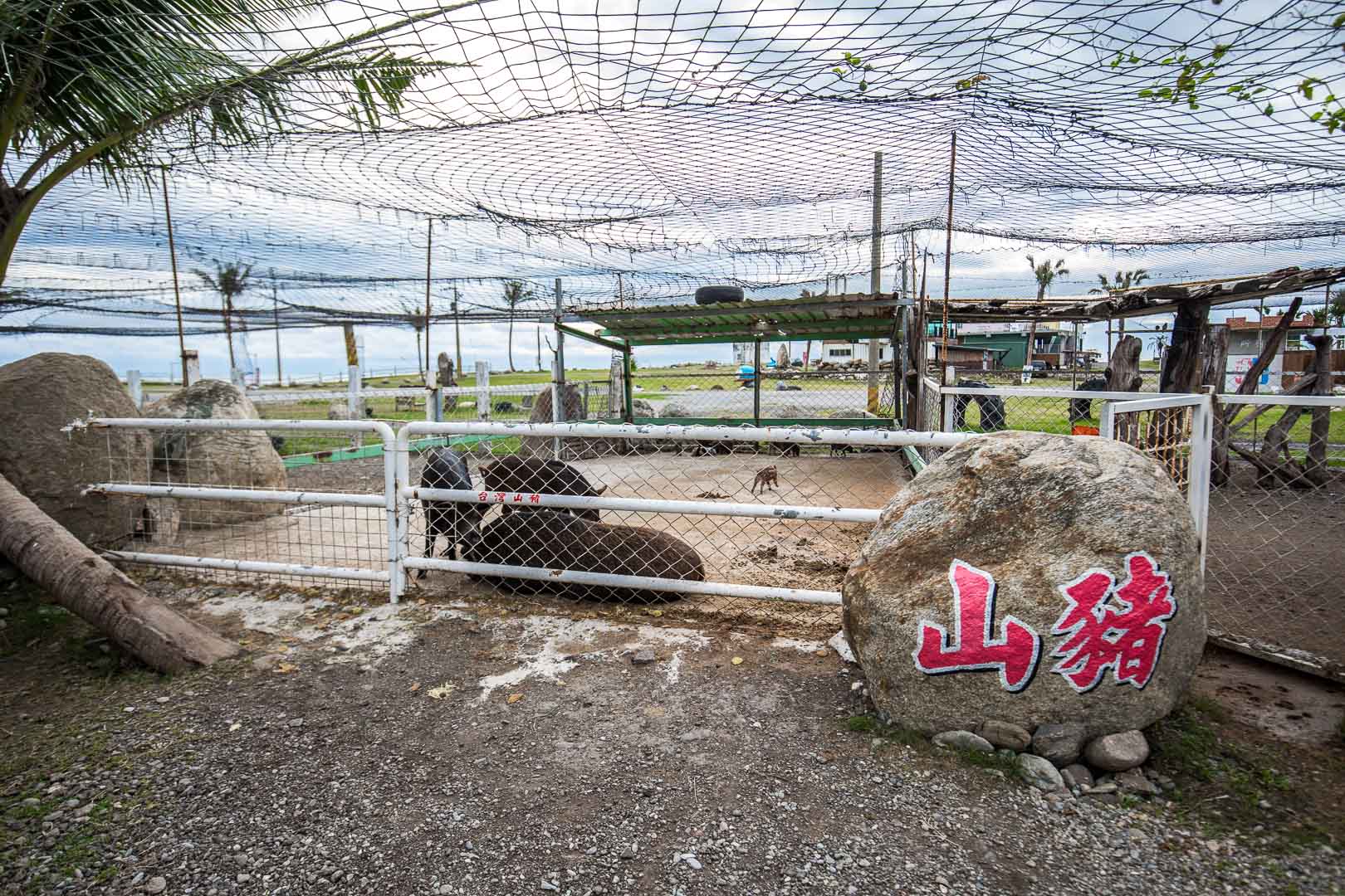  @大手牽小手。玩樂趣