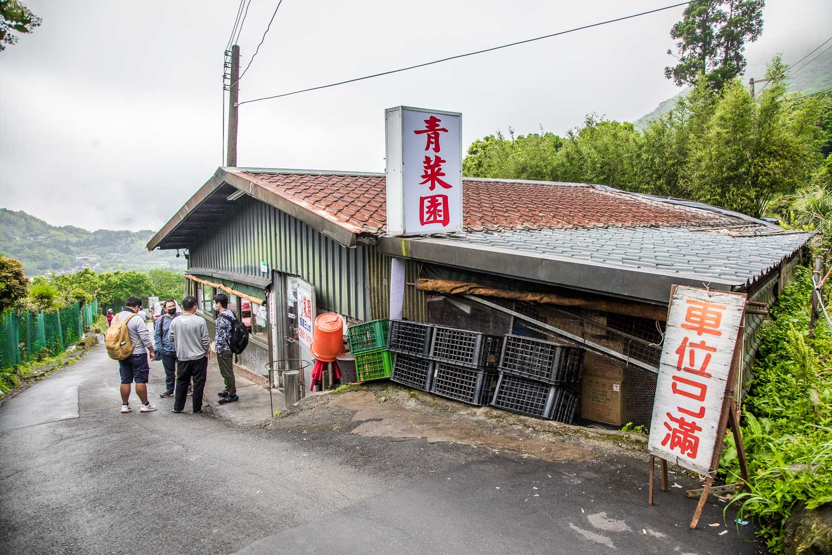 陽明山土雞,青菜園