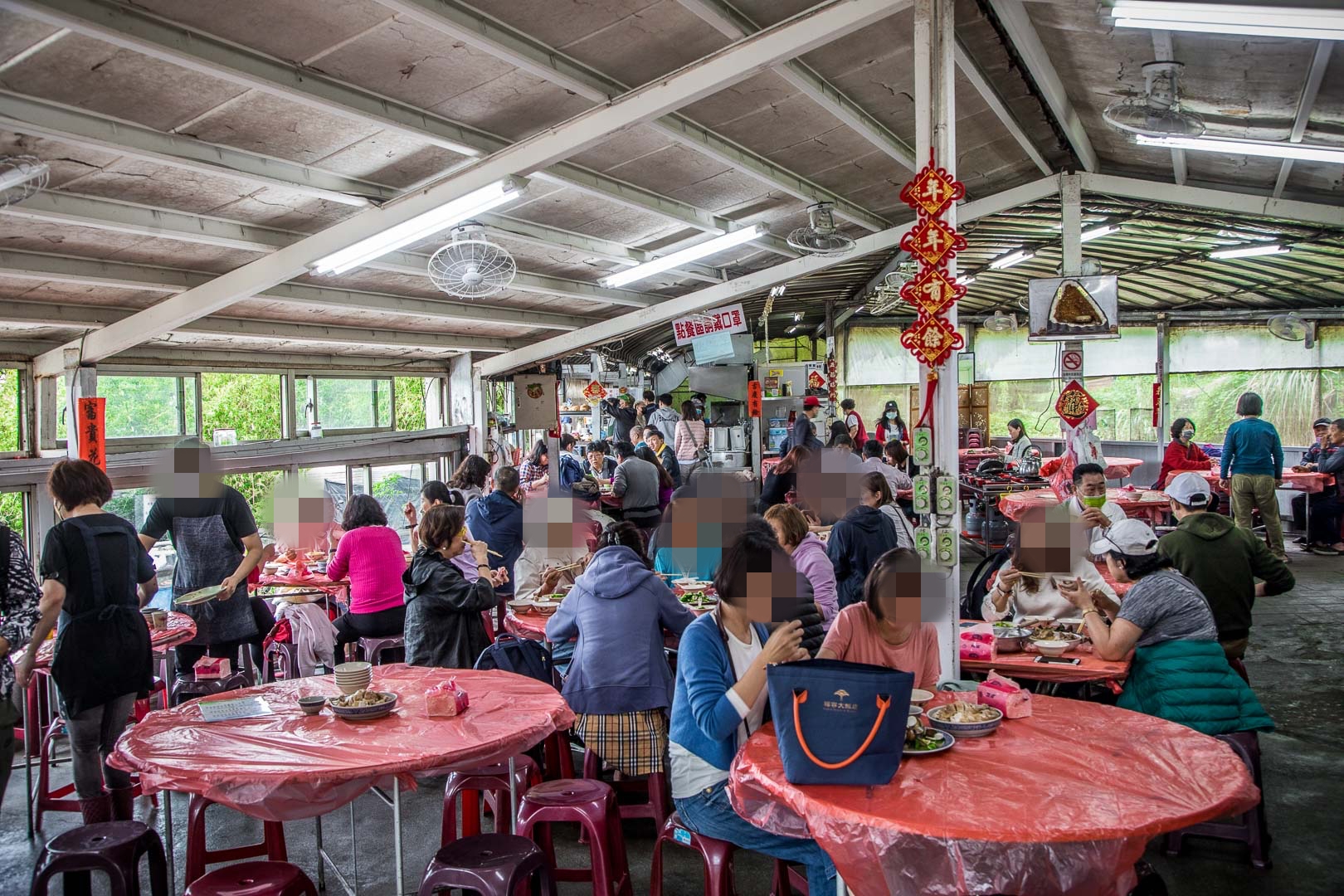 陽明山土雞,青菜園