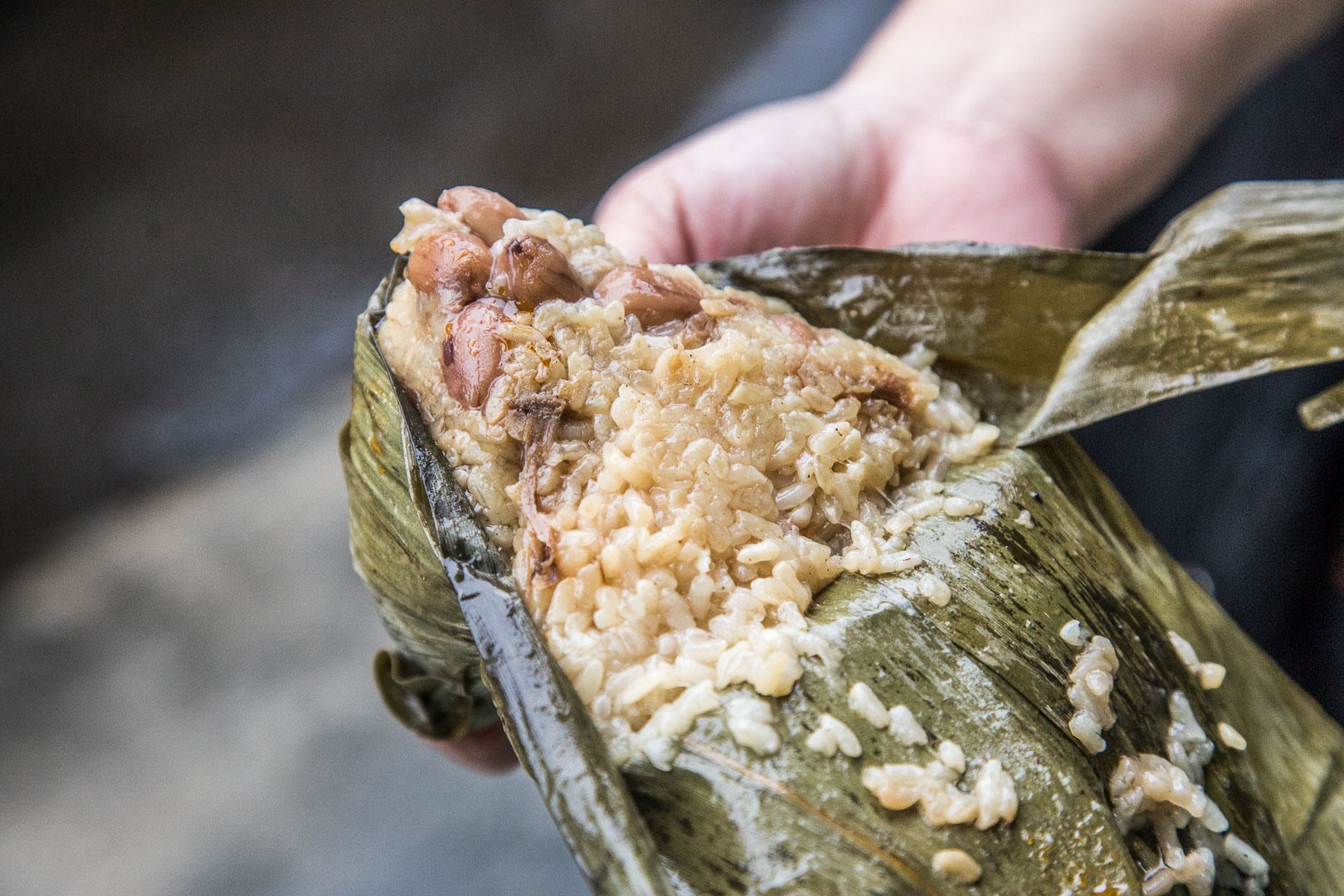 中壢鹼粽,佳珍姐肉粽菜包艾草粄,中壢美食,桃園美食,龍岡美食,桃園肉粽,中壢肉粽,桃園鹼粽