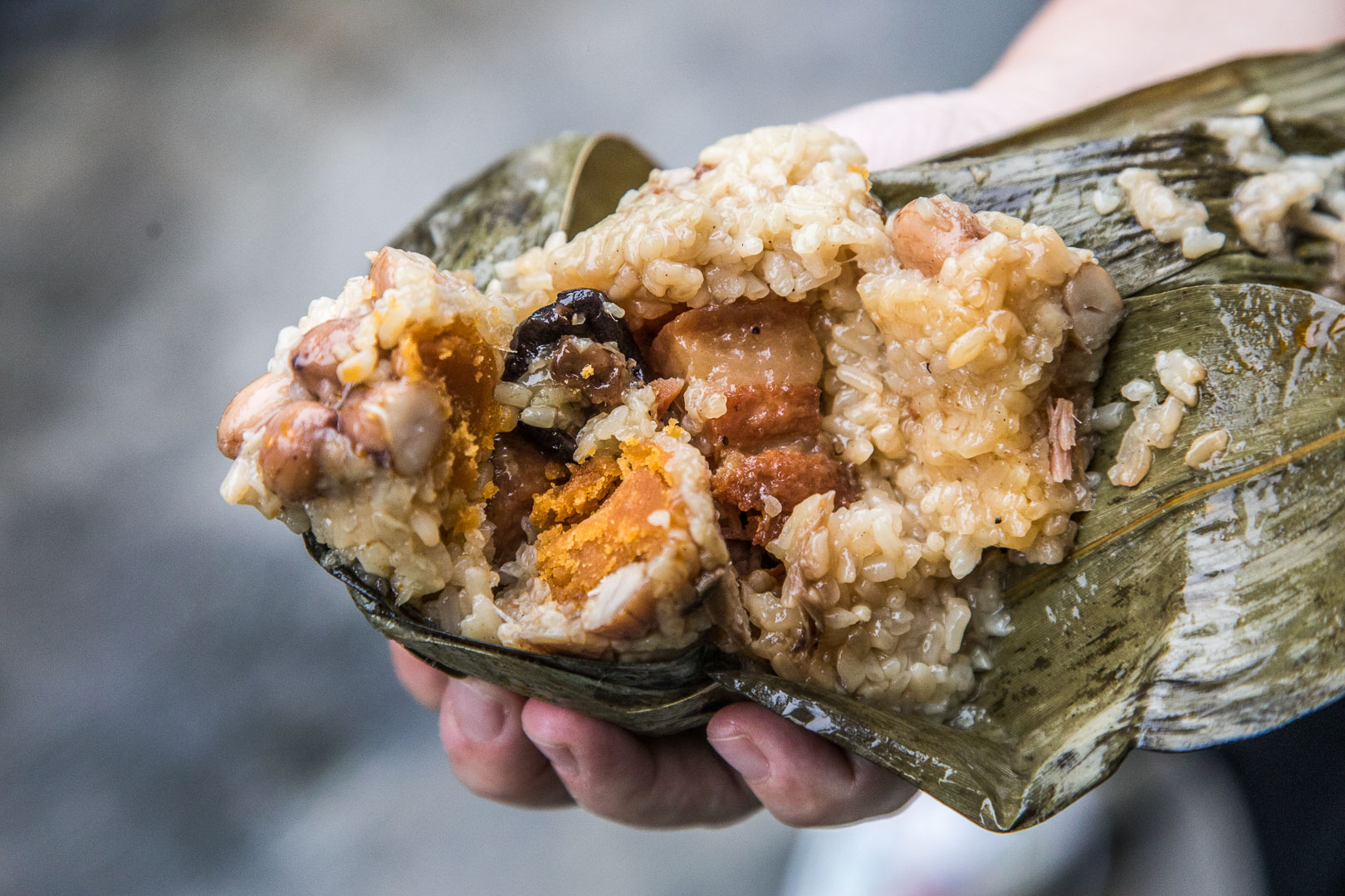 中壢鹼粽,佳珍姐肉粽菜包艾草粄,中壢美食,桃園美食,龍岡美食,桃園肉粽,中壢肉粽,桃園鹼粽