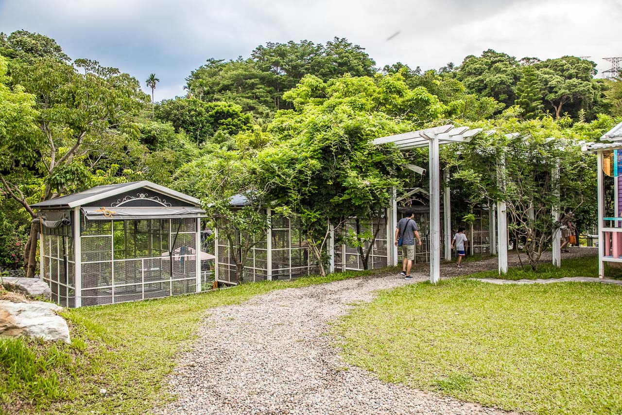桃園親子景點,蘇家莊園,大溪看動物,大溪親子景點,桃園動物景點,大溪蘇家莊園,桃園美食,桃園景點,大溪景點,大溪美食