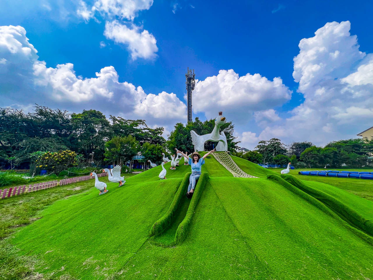 雲林景點,鵝媽媽鵝童樂園
