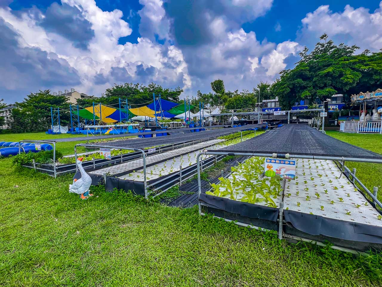 雲林景點,鵝媽媽鵝童樂園
