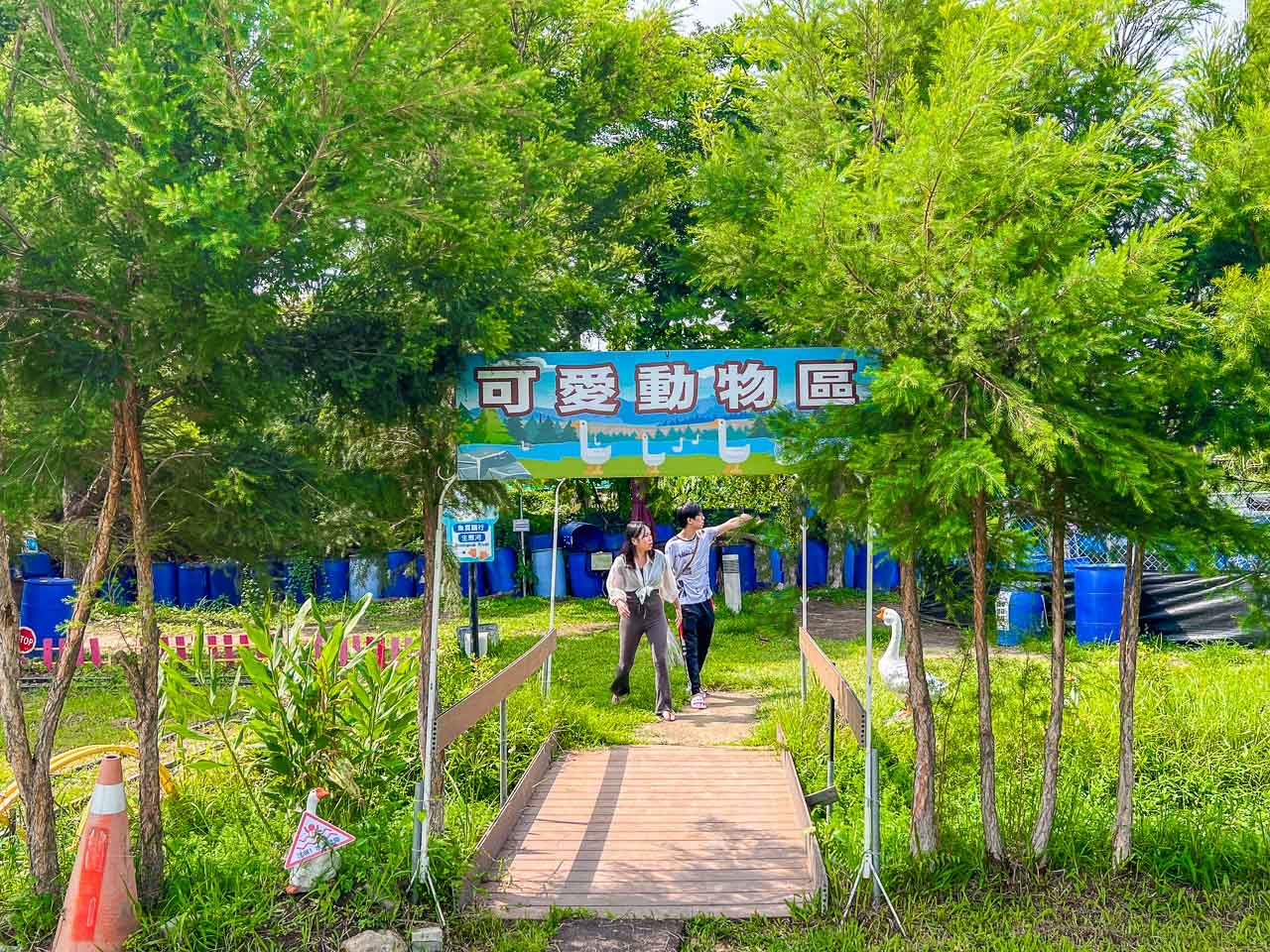 雲林景點,鵝媽媽鵝童樂園